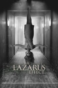 Nonton The Lazarus Effect 2015