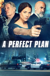 Nonton A Perfect Plan 2020