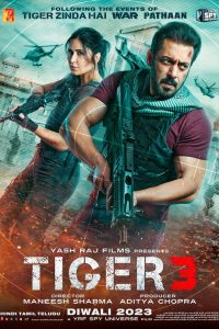 Nonton Tiger 3 2023